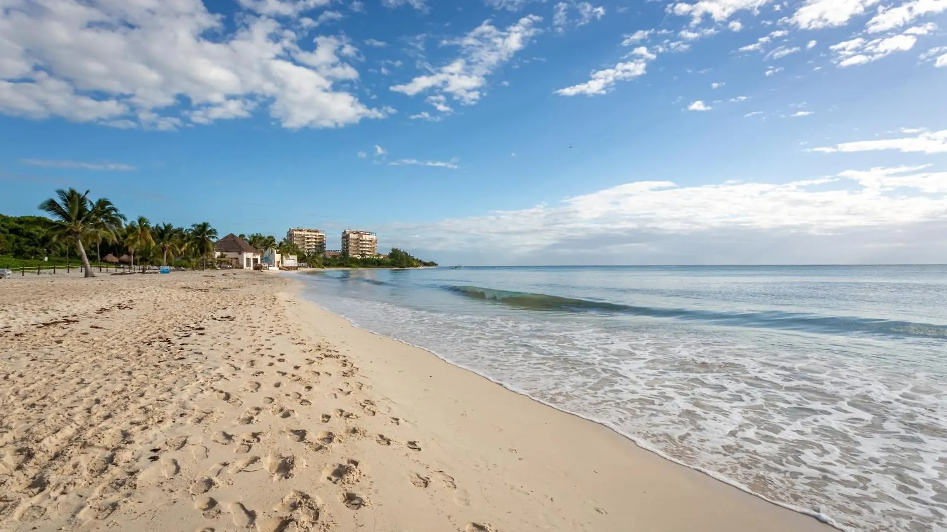 Casa Los Mares Ocean Front Penthouse Condo Playa del Carmen Apartment